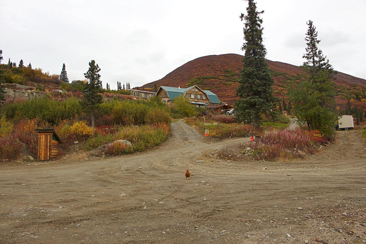 Alpine Creek Lodge Cantwell Exterior foto
